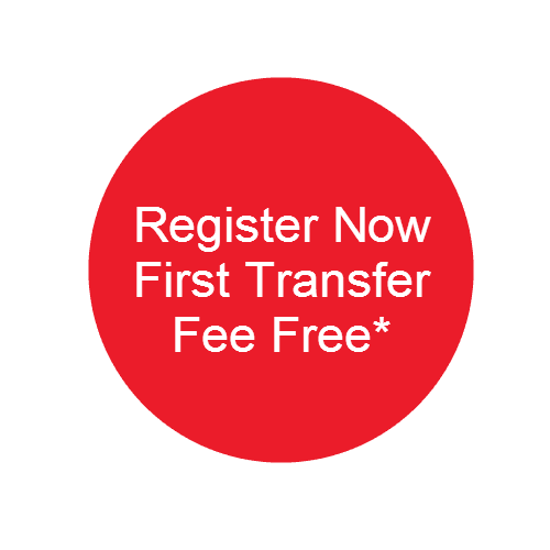 About Travelex International Payments Nz Transfer Your Money Overseas With Confidence And Trust