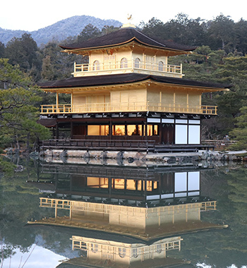 Cash-Only Experiences in Japan